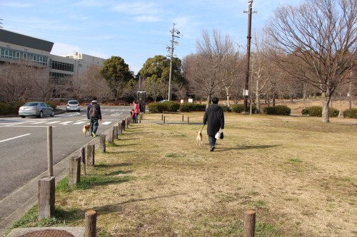 f0245650_09455043.jpg