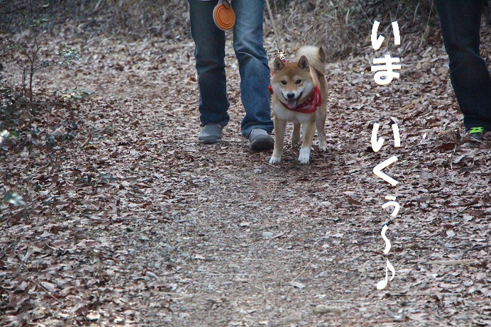f0245650_09522864.jpg