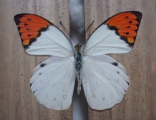 f0161552_0285550.jpg
