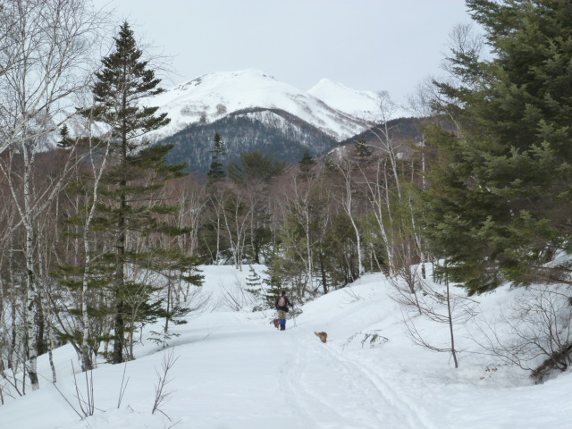 b0203758_15195280.jpg