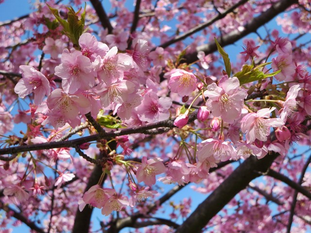 c0042960_16311757.jpg