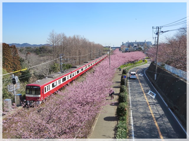 【小田急藤沢の北海道展でラーメン２種】_c0042960_16321820.jpg