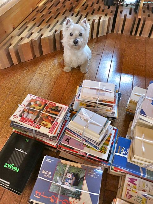 断捨離(本編)_c0260460_12174770.jpg