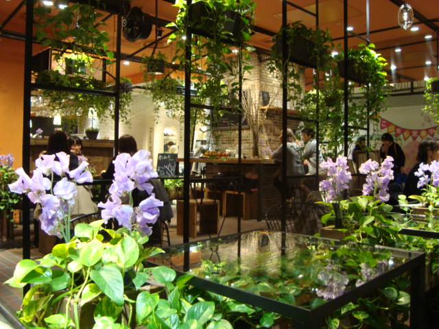 吉祥寺「青山フラワーマーケット TEA HOUSE」へ行く。_f0232060_14374141.jpg