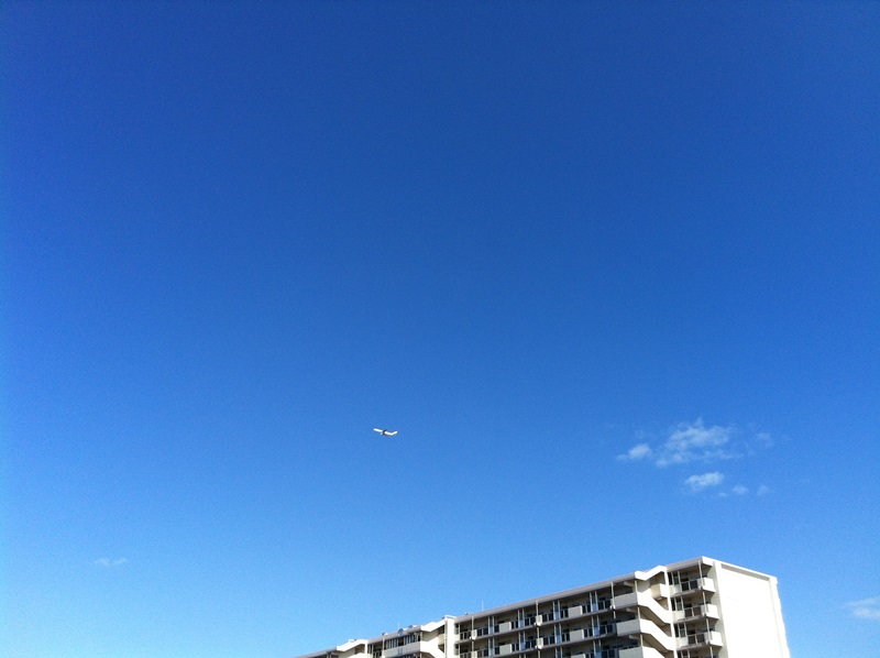 a0261573_015938.jpg
