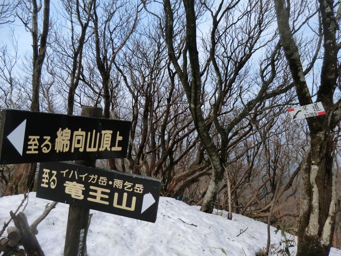 No335 　残雪の滋賀・綿向山_b0185573_9534662.jpg