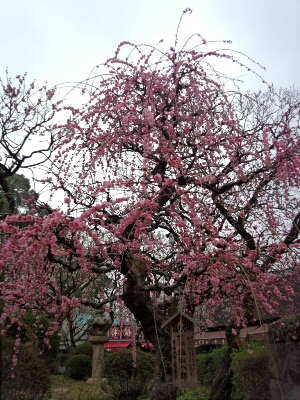 f0292289_04358.jpg
