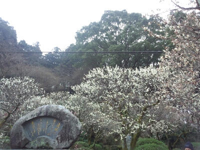 f0292289_04541.jpg