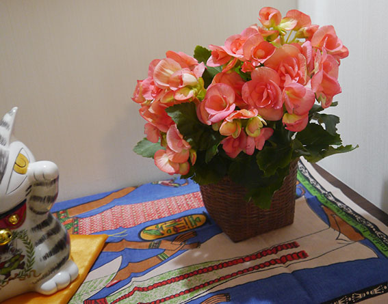 d0071596_11353495.jpg