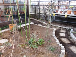 c0117898_20073585.jpg