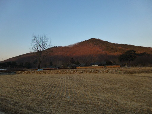 a0140305_1161138.jpg