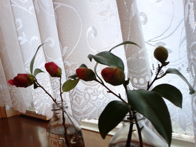 f0024708_5522330.jpg