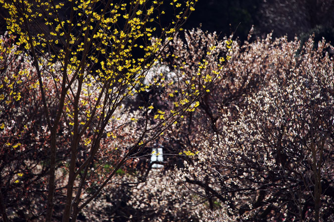 a0263109_16371774.jpg