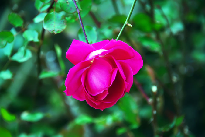 a0263109_16514646.jpg