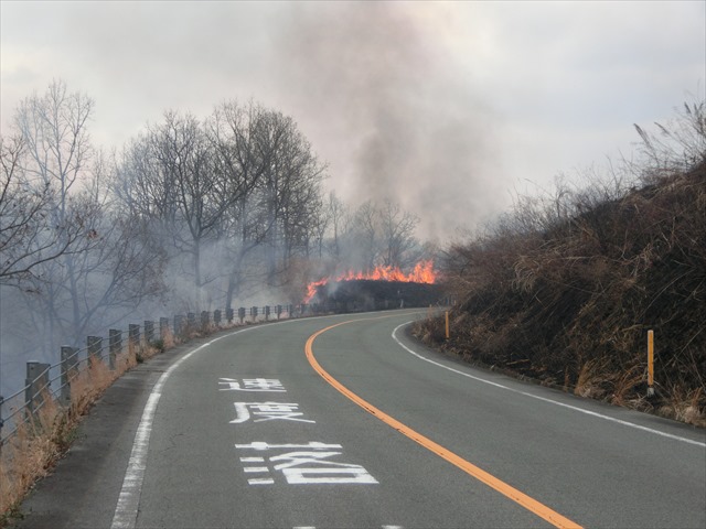 c0238519_2146174.jpg