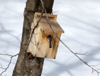 f0232920_15314986.gif