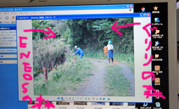 f0232920_15525484.gif