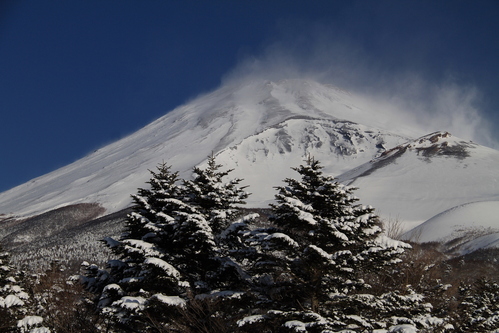 d0240223_1952093.jpg