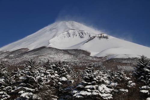 d0240223_19521394.jpg
