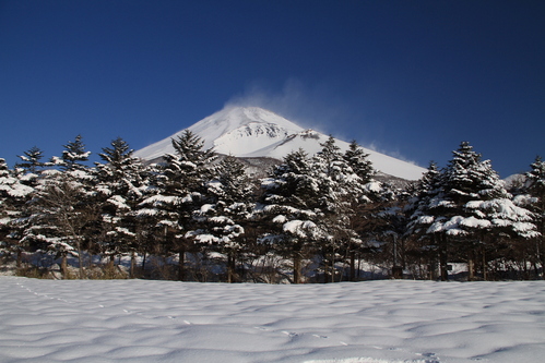 d0240223_19522036.jpg