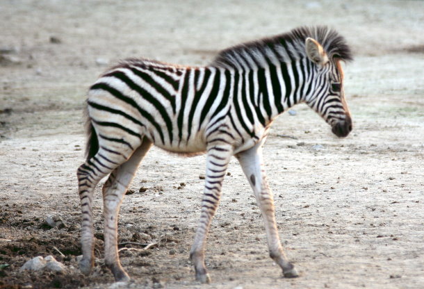 f0224624_17591519.jpg