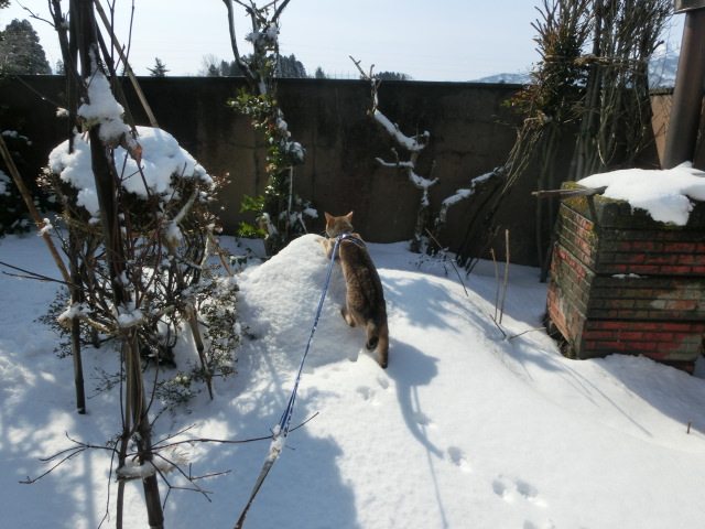 f0009028_11465452.jpg
