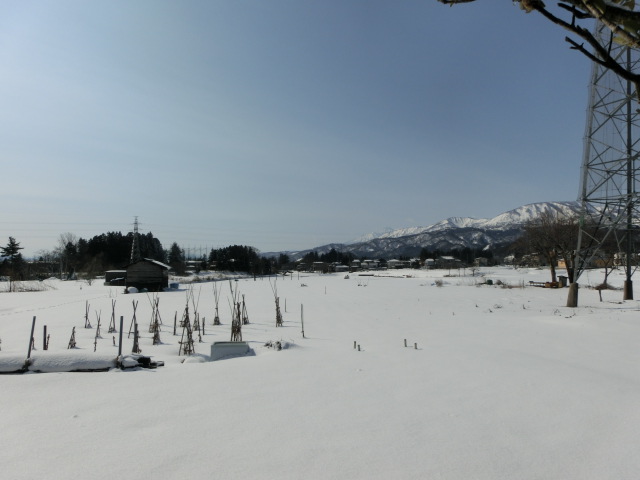 f0009028_1158187.jpg