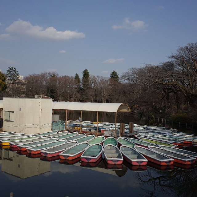 井の頭公園池の水抜き・かいぼり作戦完了 #吉祥寺 #RICOH #GR_a0009142_20091073.jpg