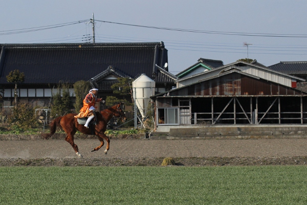 小山　篠塚稲荷神社の流鏑馬_e0227942_22103764.jpg