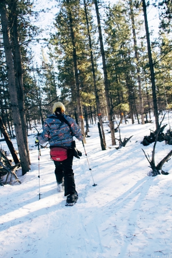 YUKON TRIP ~2014 winter~　(vol.2)_c0228945_20004119.jpg