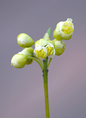 a0001354_22303056.gif