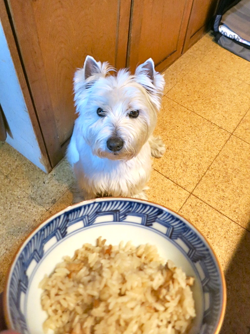 冷凍庫内の謎のタッパー_c0260460_21171846.jpg