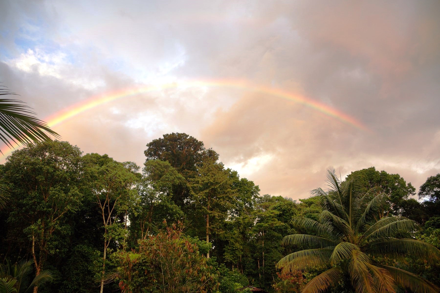 Costa Rica_b0012367_1056227.jpg