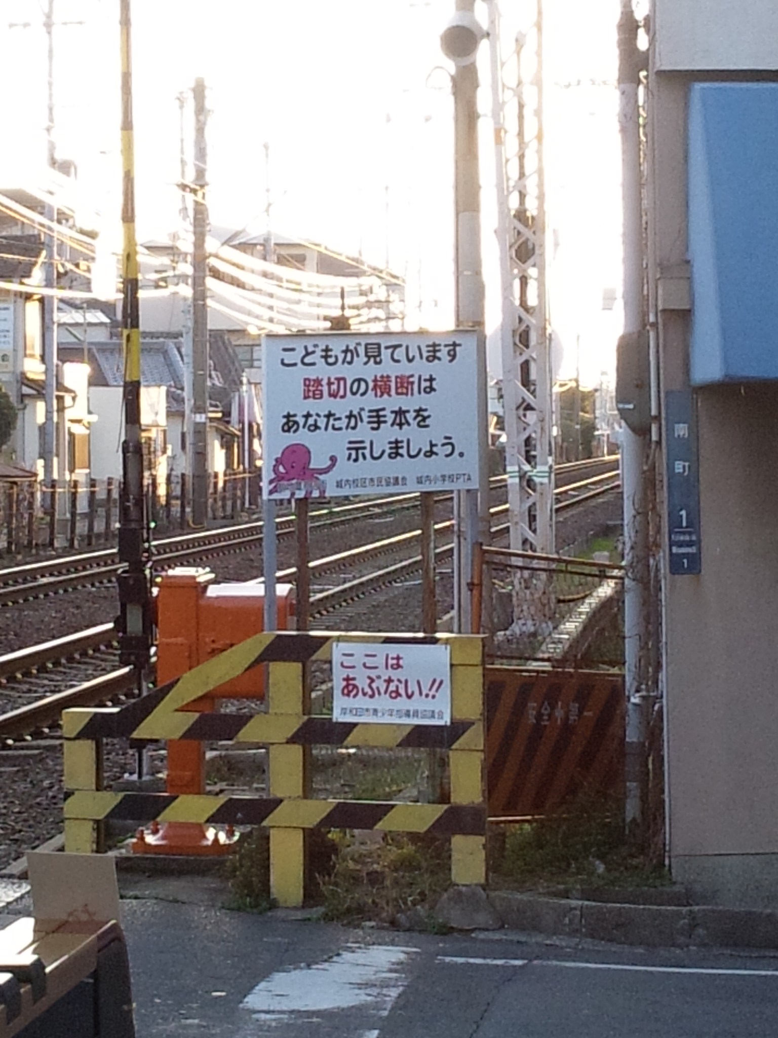 c0001670_8352440.jpg