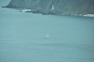 「大島海峡通過！」_b0033573_18030259.jpg