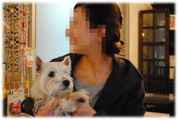 b0242873_10381666.png