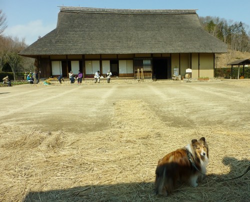 半日コースの小さな遠足へ_a0157174_18135898.jpg