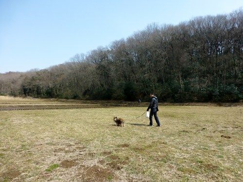 半日コースの小さな遠足へ_a0157174_188421.jpg