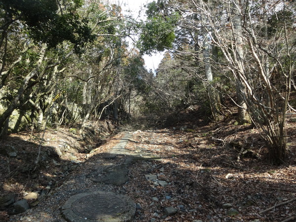 朝熊ヶ岳（朝熊山）　伊勢の古くから伝わる信仰の山_c0066176_11291223.jpg