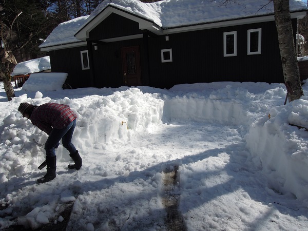 大雪の爪あと_f0045283_2227445.jpg