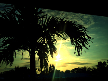 a0201204_22381467.jpg