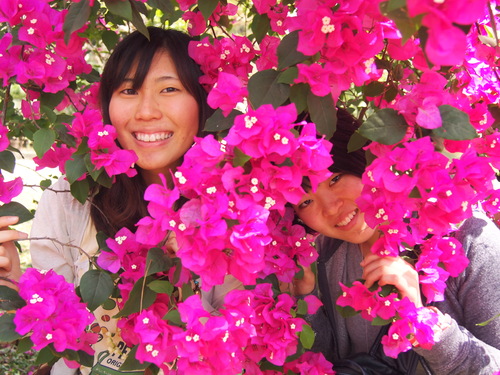 タイキャンプ活動報告♪その1_a0080406_1204789.jpg
