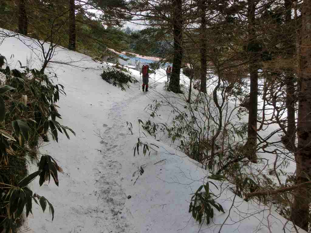 笹ヶ峰　北面直登ルート　　チチ山_b0124306_16565815.jpg