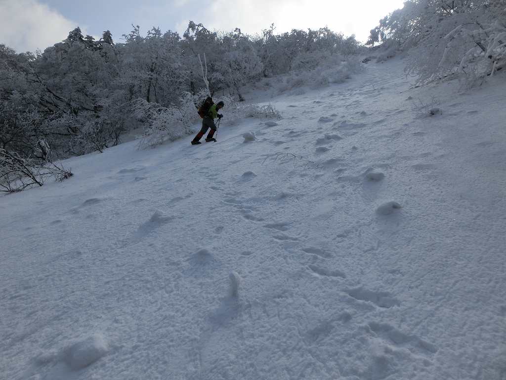 笹ヶ峰　北面直登ルート　　チチ山_b0124306_17135277.jpg