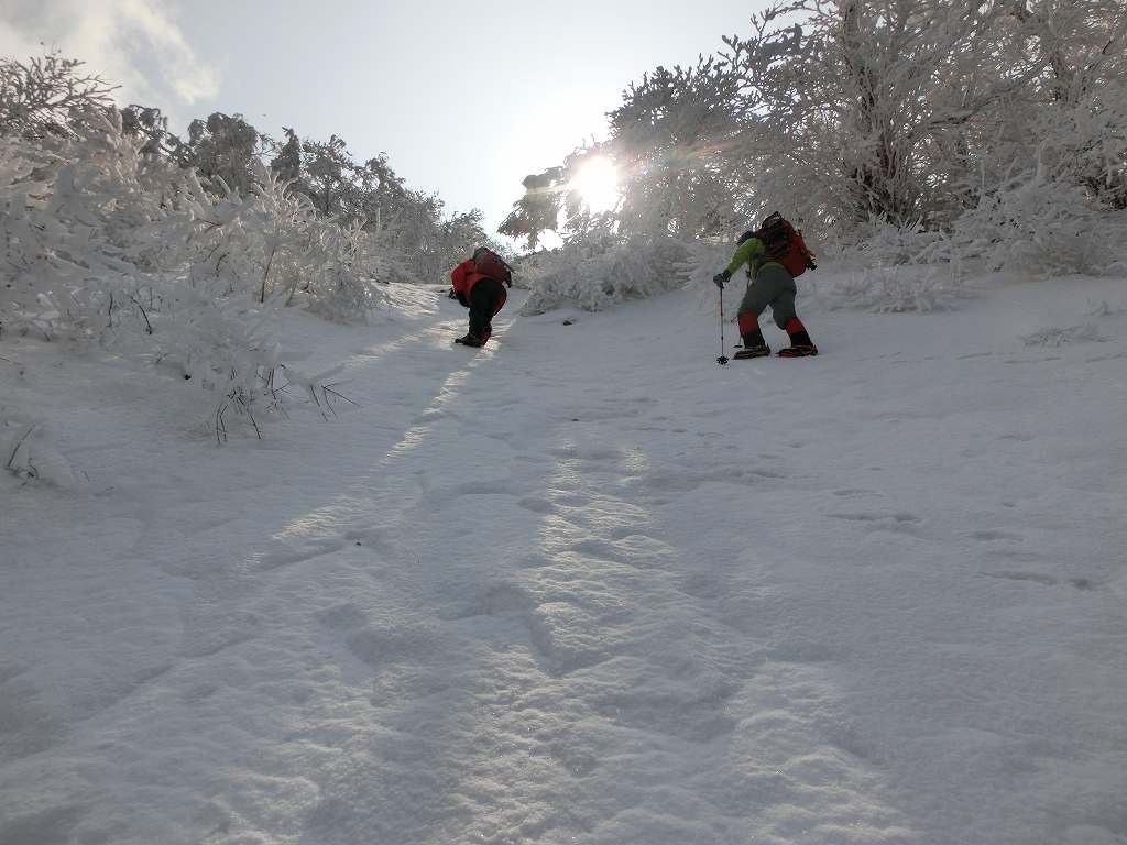 笹ヶ峰　北面直登ルート　　チチ山_b0124306_17193426.jpg