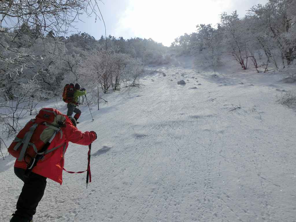 笹ヶ峰　北面直登ルート　　チチ山_b0124306_176471.jpg