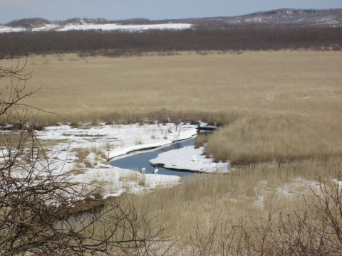 b0292308_11063572.jpg