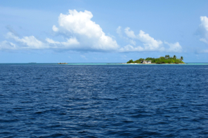 d0298808_128164.jpg