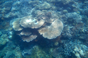 d0298808_1282377.jpg