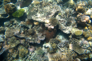 d0298808_1284312.jpg